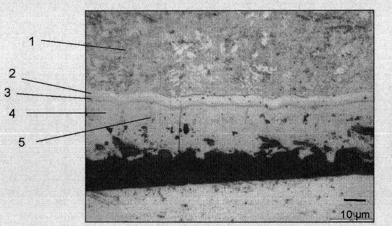 Method of making coated stamped parts and parts made therefrom