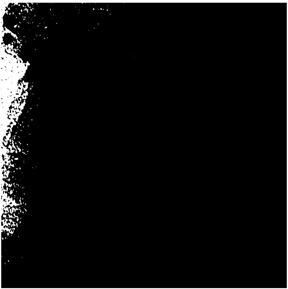 Toluene disproportionation and transalkylation catalyst and preparation method thereof