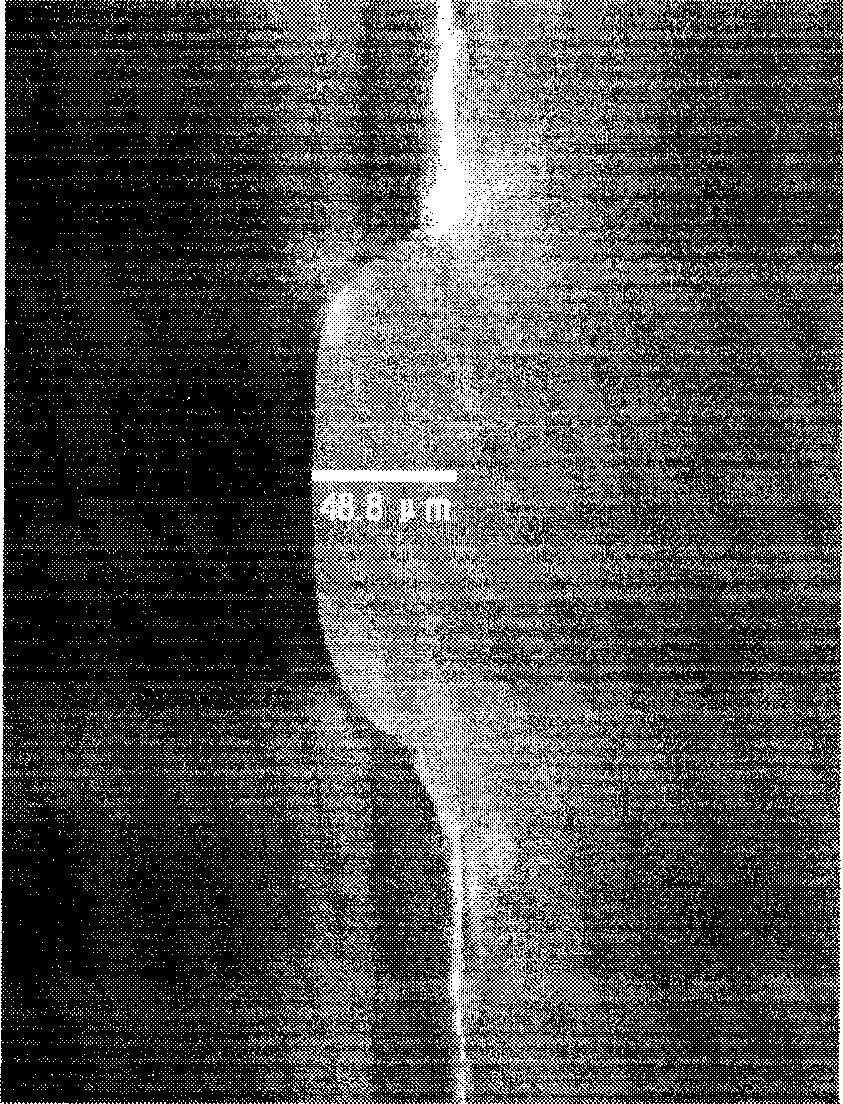 Method for preparing protective film playing a role in protecting glass micro-fluidic chips in etching process