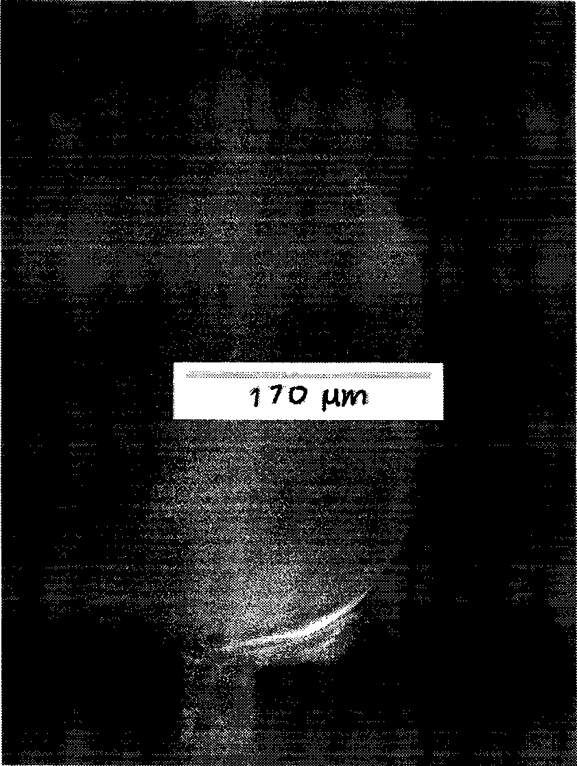 Method for preparing protective film playing a role in protecting glass micro-fluidic chips in etching process