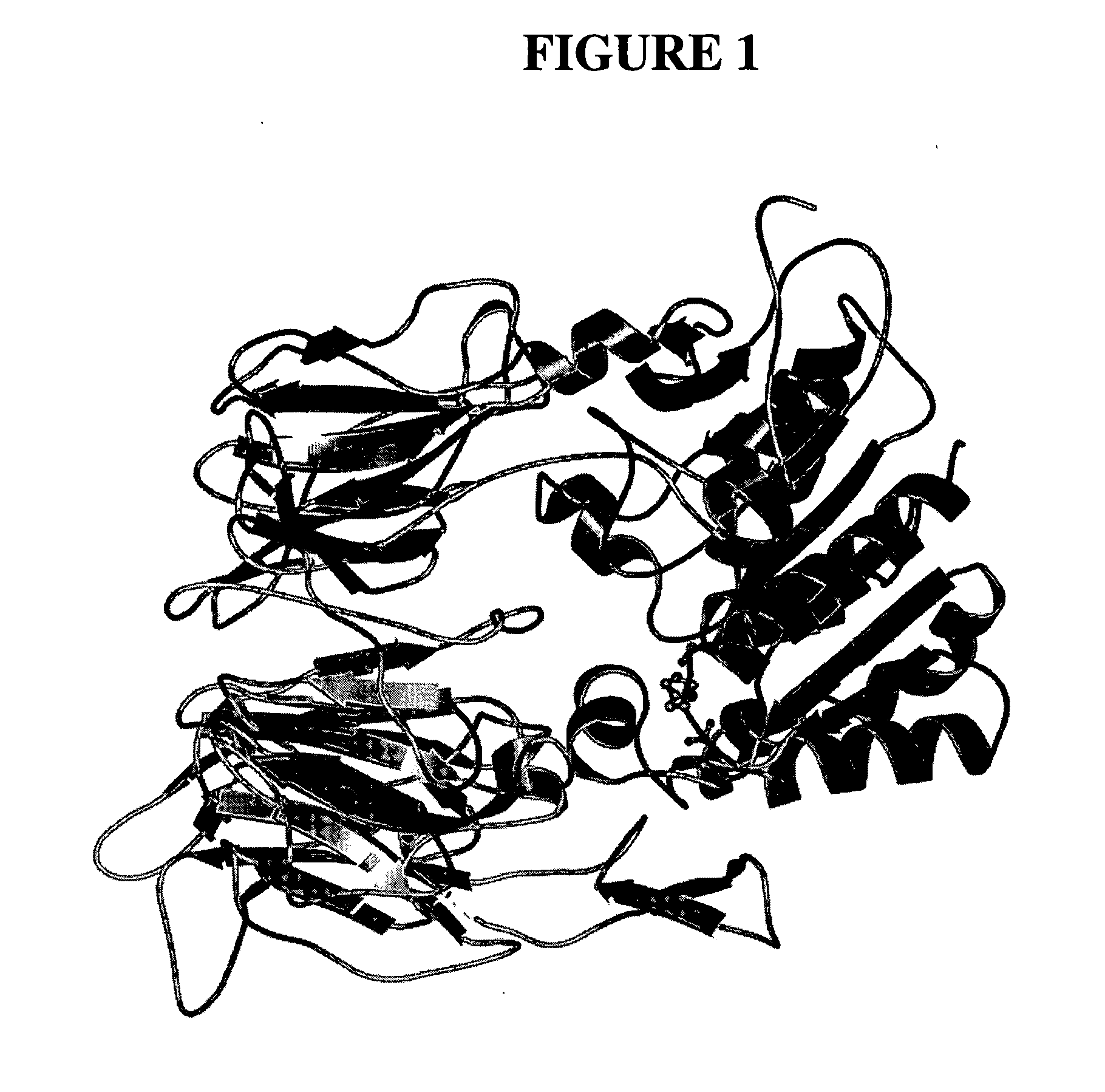 Dipeptidyl peptidase inhibitors