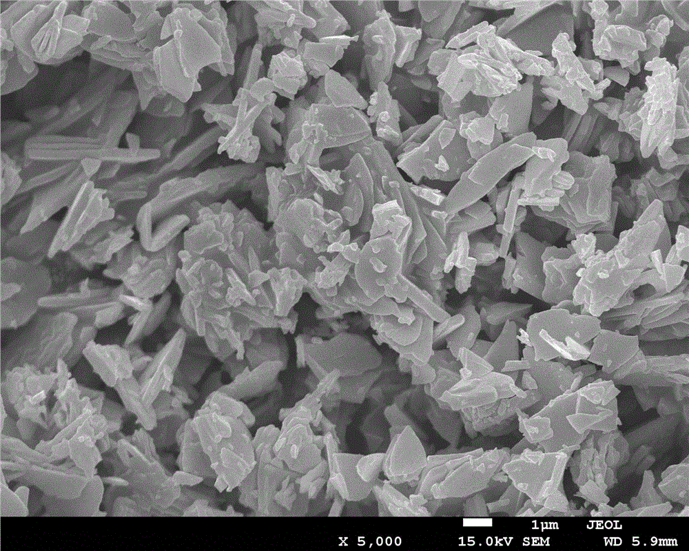 A kind of negative electrode active material and its preparation method and a kind of lithium ion battery