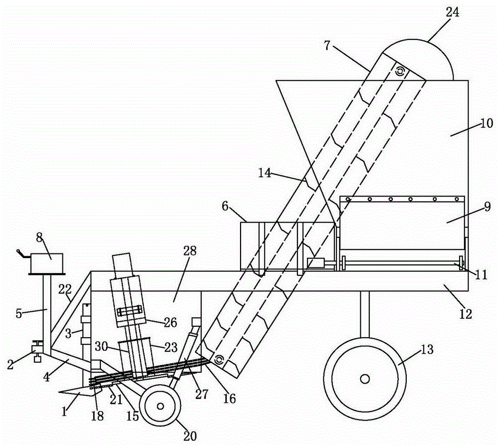 Beet digging-picking harvester