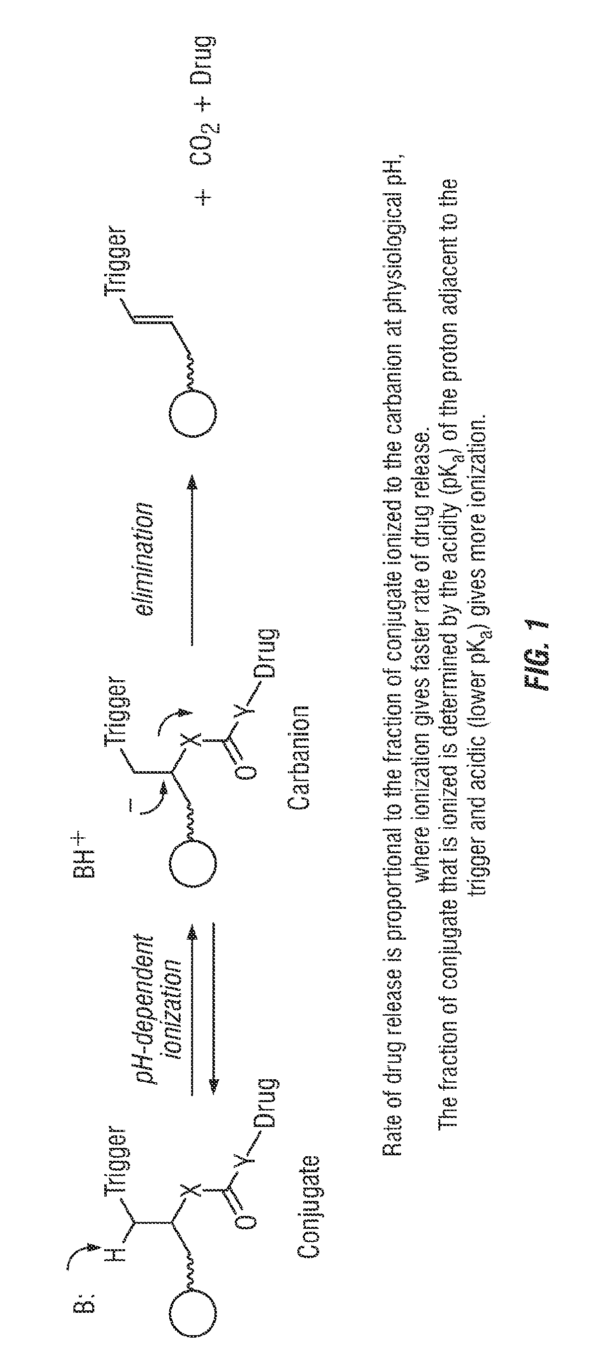 Controlled release from solid supports