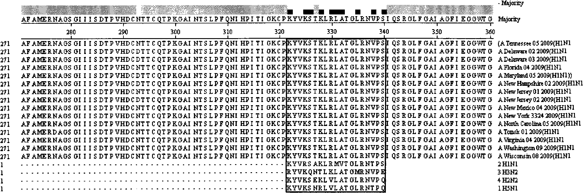 Specific synthetic polypeptide for detecting novel H1N1 influenza viruses