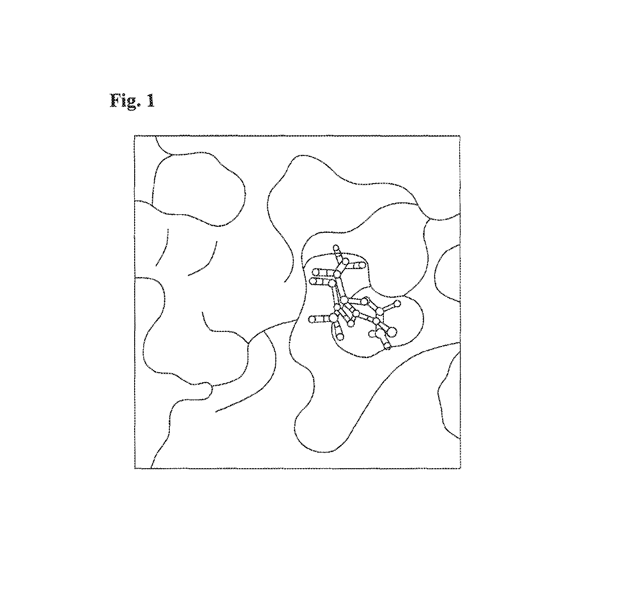 Composition for treatment of inflammatory bowel disease and atopic dermatitis