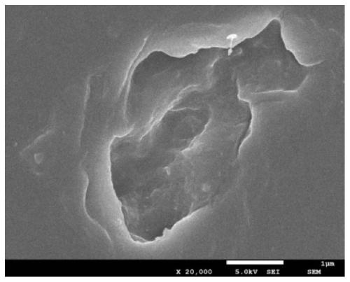 Method for polyethylene biodegradation through pichia guilliermondii