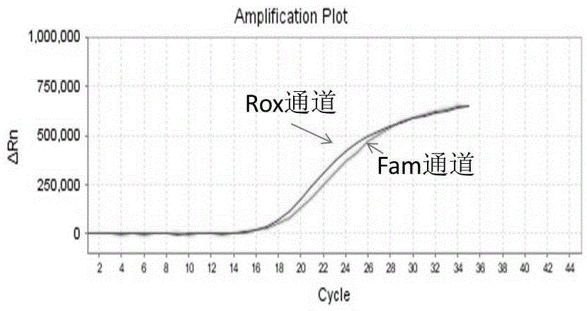 Primer, probe, fluorescence PCR (Polymerase Chain Reaction) kit and method for detecting HLA (Human Leucocyte Antigen)-B*5801 genes