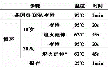 Primer, probe, fluorescence PCR (Polymerase Chain Reaction) kit and method for detecting HLA (Human Leucocyte Antigen)-B*5801 genes