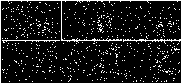 Method for stimulating goaf ignition process under U-shaped ventilation