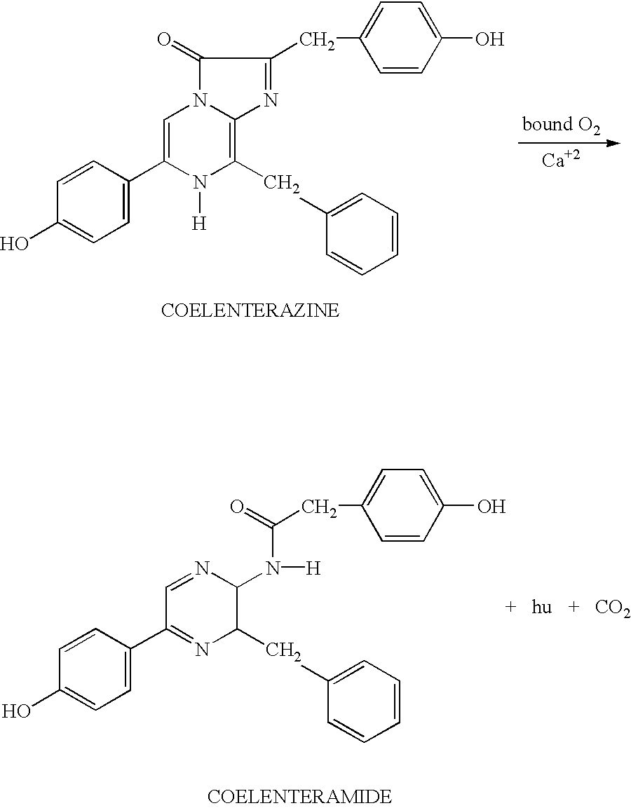 Apparatus and method for detecting and identifying infectious agents