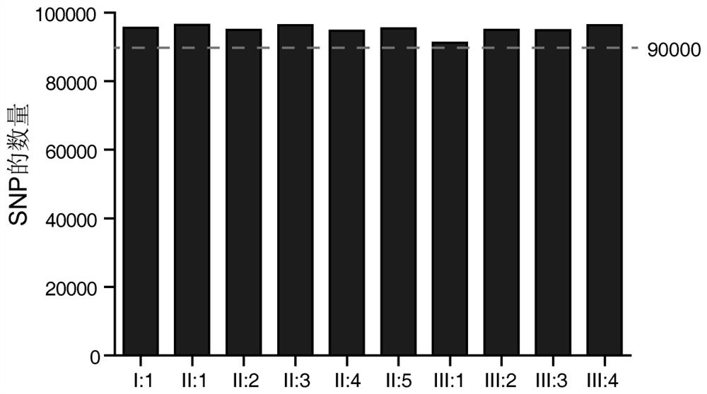 Kits and applications for predicting and screening adolescent idiopathic scoliosis