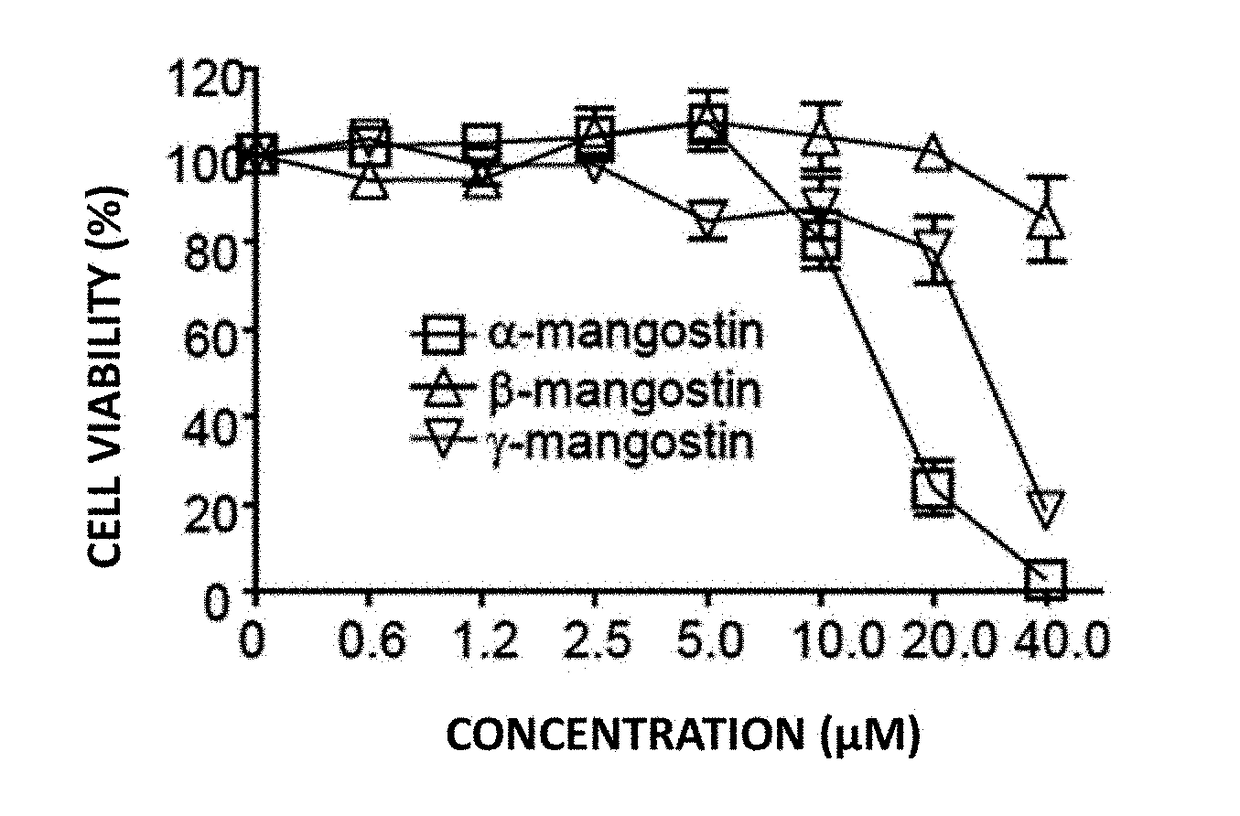 Composition for skin whitening comprising beta-mangostin as effective ingredient