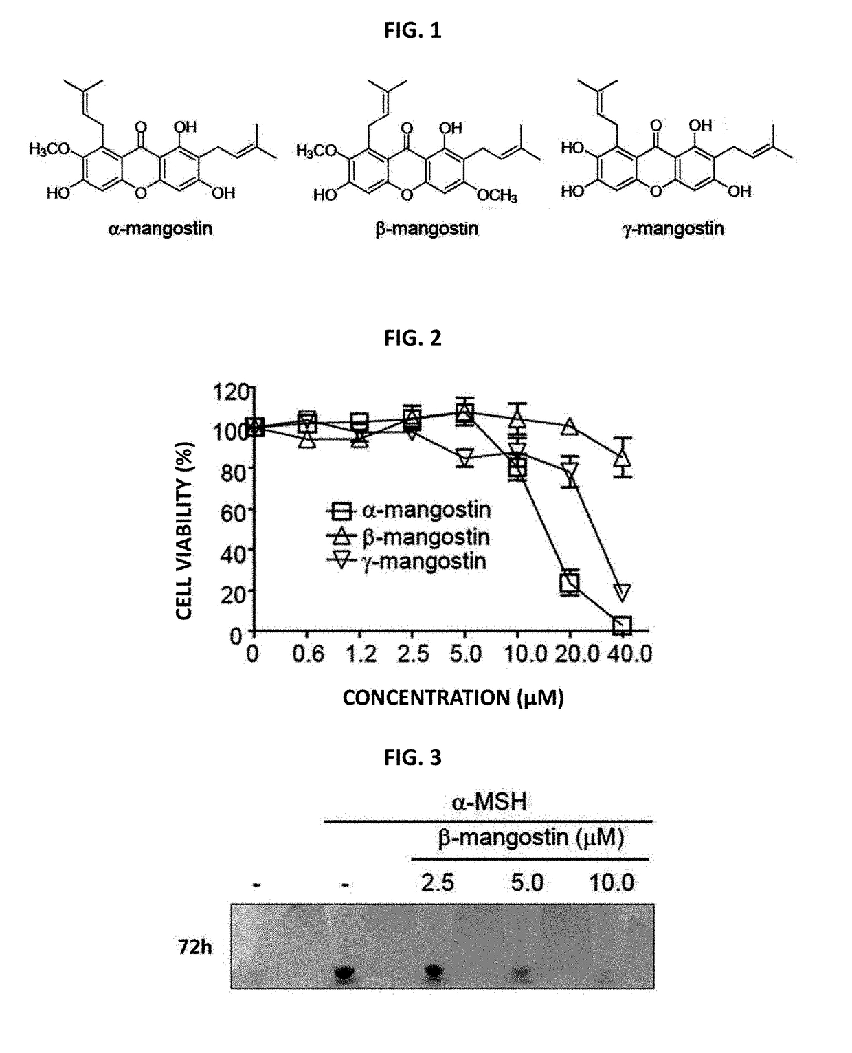 Composition for skin whitening comprising beta-mangostin as effective ingredient