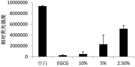 A kind of rice rose fermentation puree and its preparation method and application