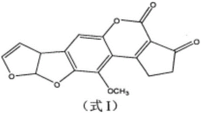 Aflatoxin irradiation degradation method