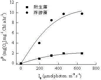 A device and application for simultaneously measuring primary productivity of phytoplankton and epiphytic algae in rivers