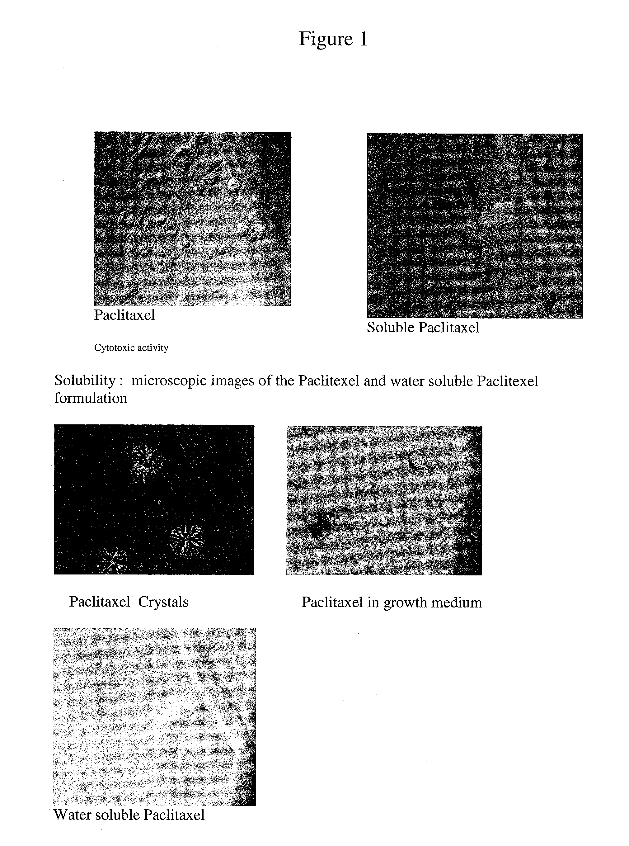 Pharmaceutical compositions for the delivery of substantially water-insoluble drugs