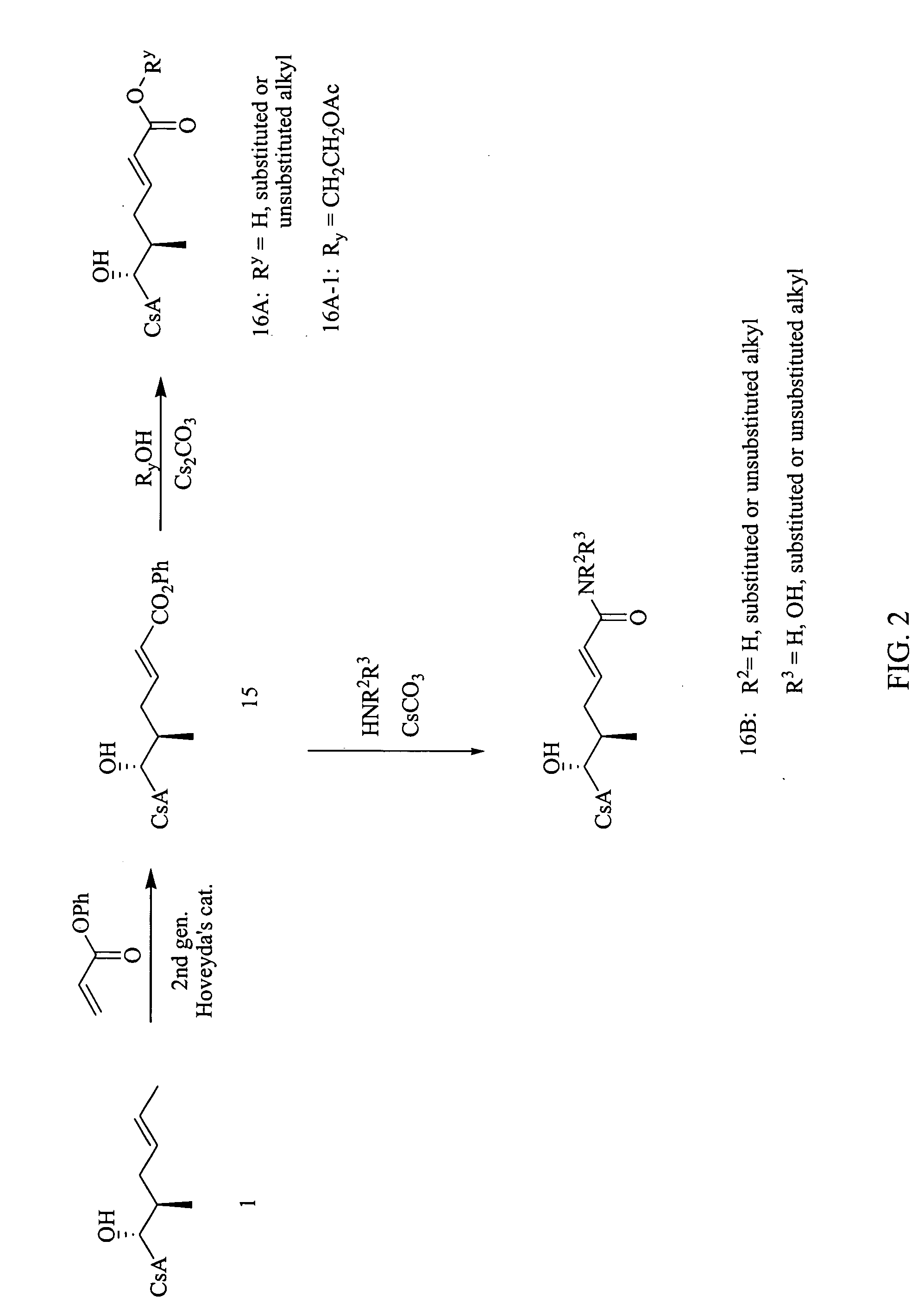 Cyclosporin analogs for the treatment of immunoregulatory disorders and respiratory diseases