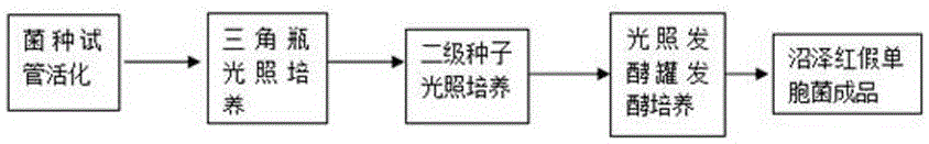 Microbial culture capable of improving soil salinization and preparation method of microbial culture