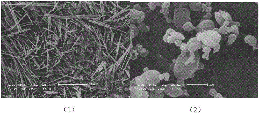 Technical study for preparing Nim-PLLA (nimesulide-poly-l-lactic acid) composite microsphere with supercritical anti-solvent method