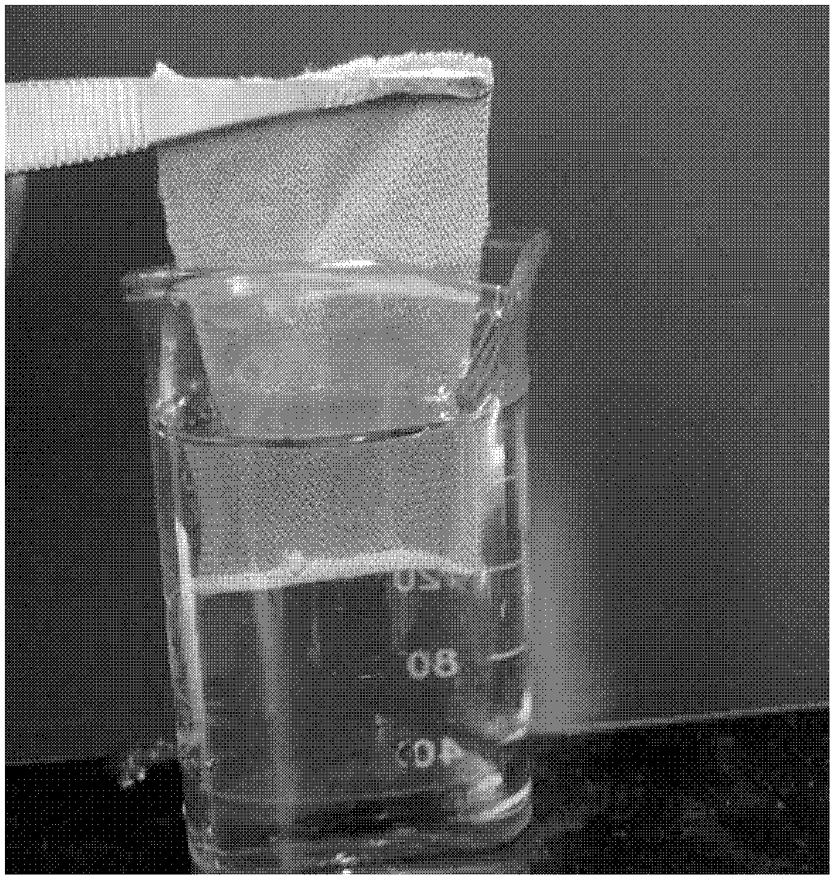 Water-soluble hemostatic material and preparation method thereof