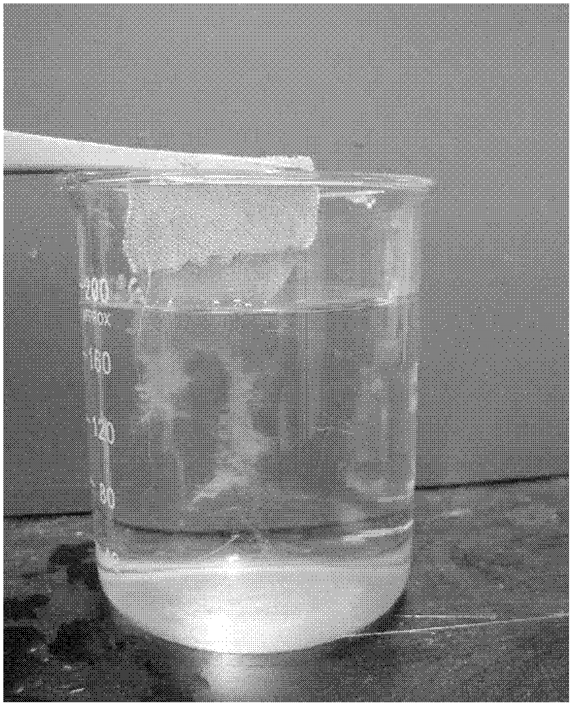 Water-soluble hemostatic material and preparation method thereof