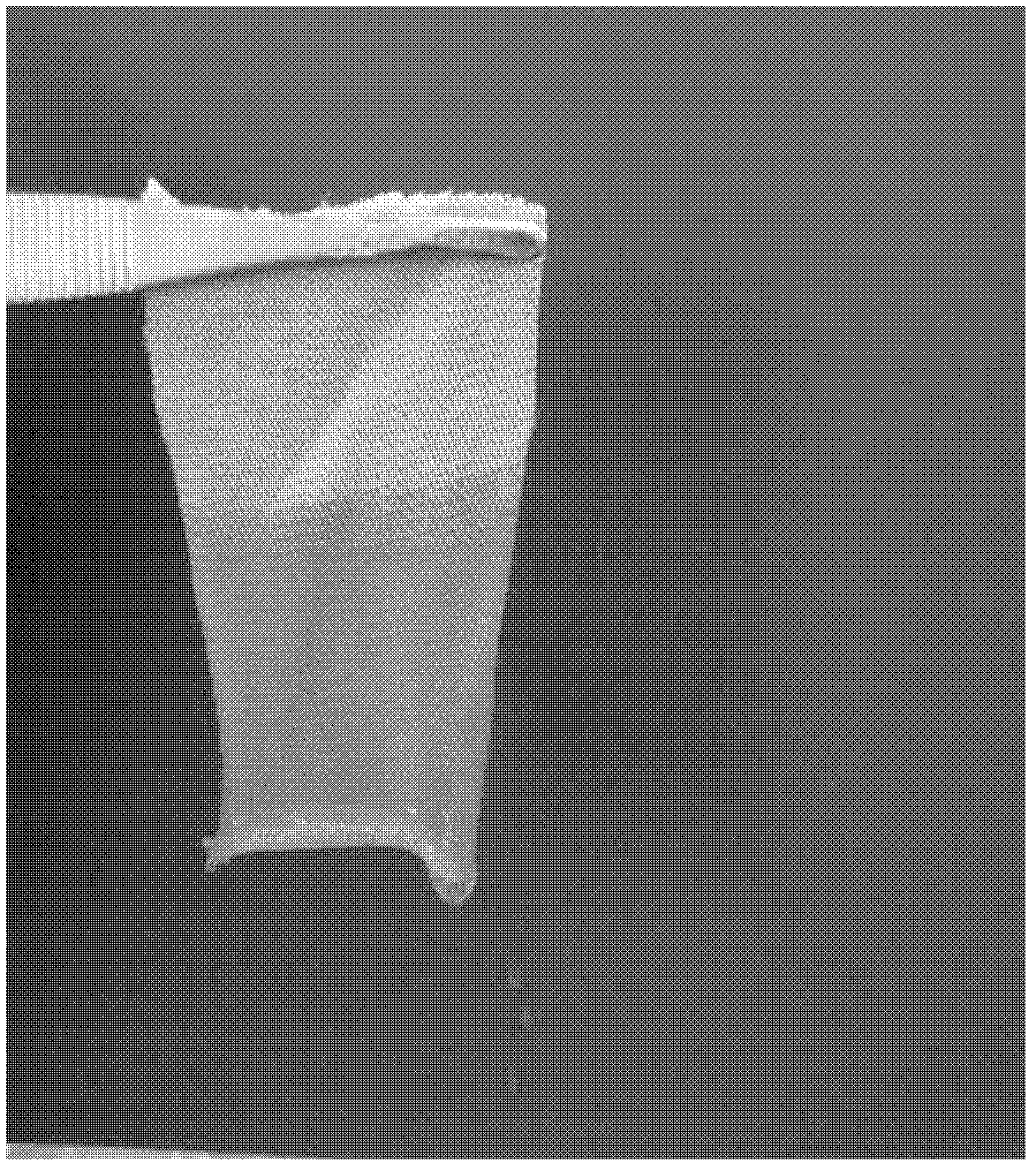 Water-soluble hemostatic material and preparation method thereof