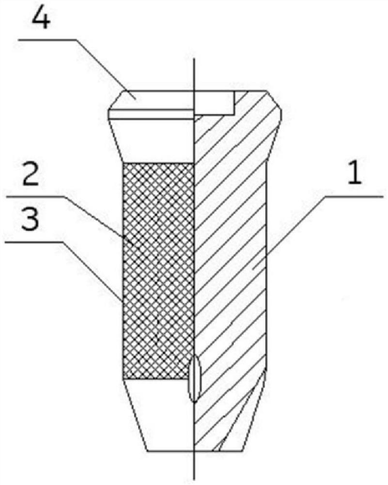 Dental implant with osteoinduction structure