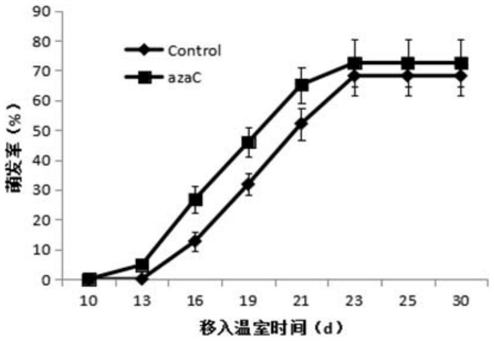 A method for promoting flower bud germination and branch growth of off-season peony