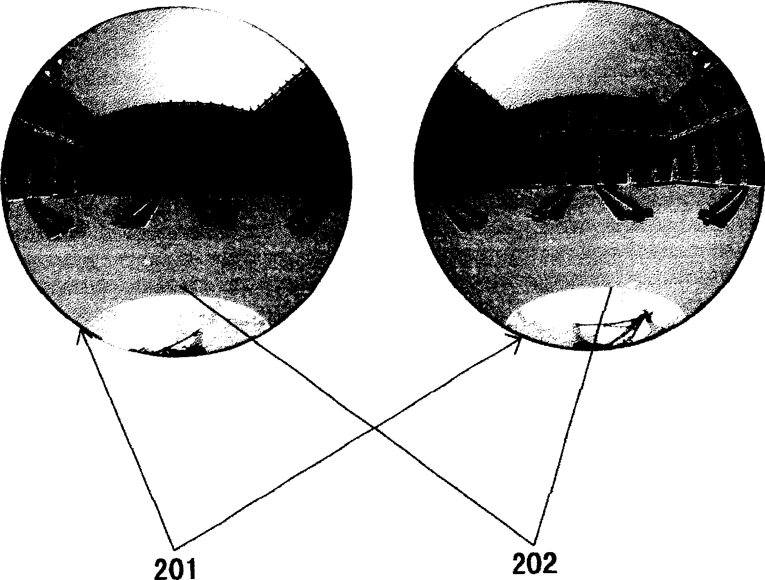 Intelligent panorama creating process based on two fish-eye images