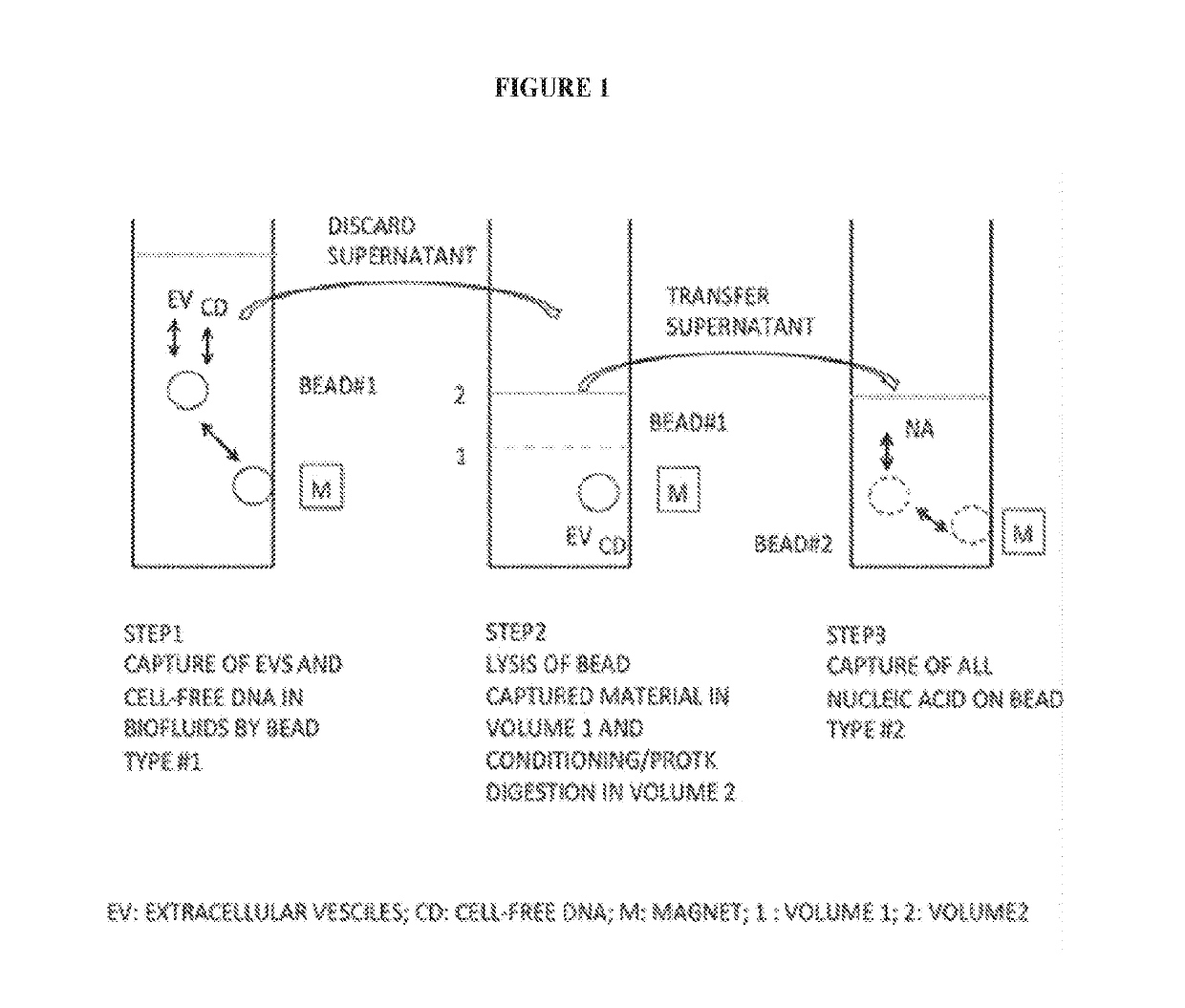 Automated and manual methods for isolation of extracellular vesicles and co-isolation of cell-free DNA from biofluids