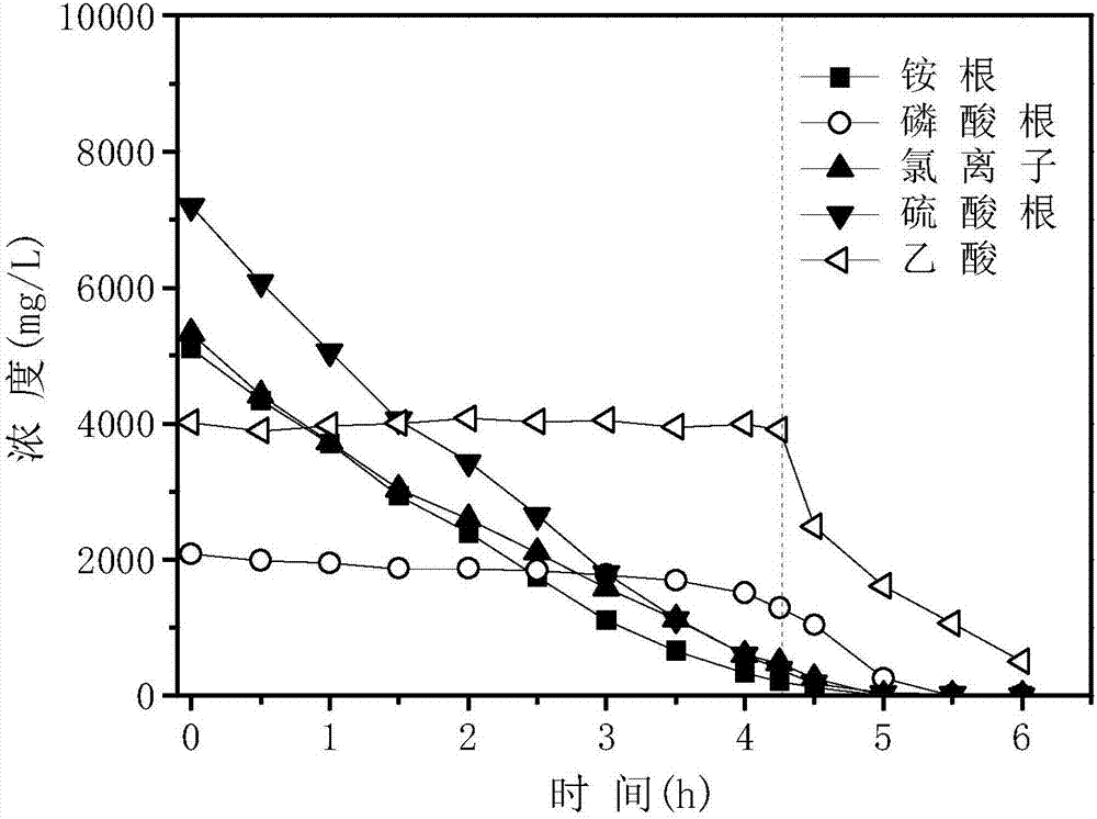 Method for recycling ammonia nitrogen, phosphorus and volatile fatty acid in livestock-poultry excrement hydrolysate by two-stage bipolar membrane electrodialysis