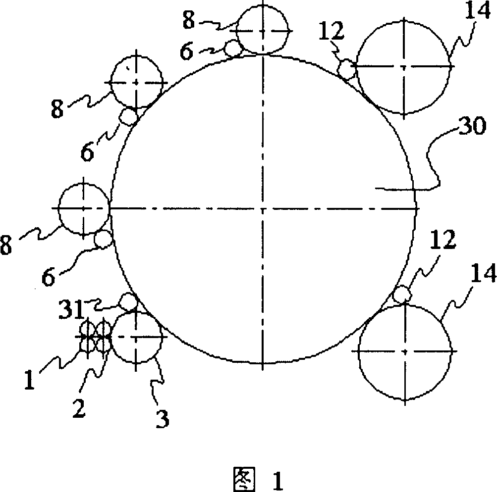 Feeding and carding system for hackling machine