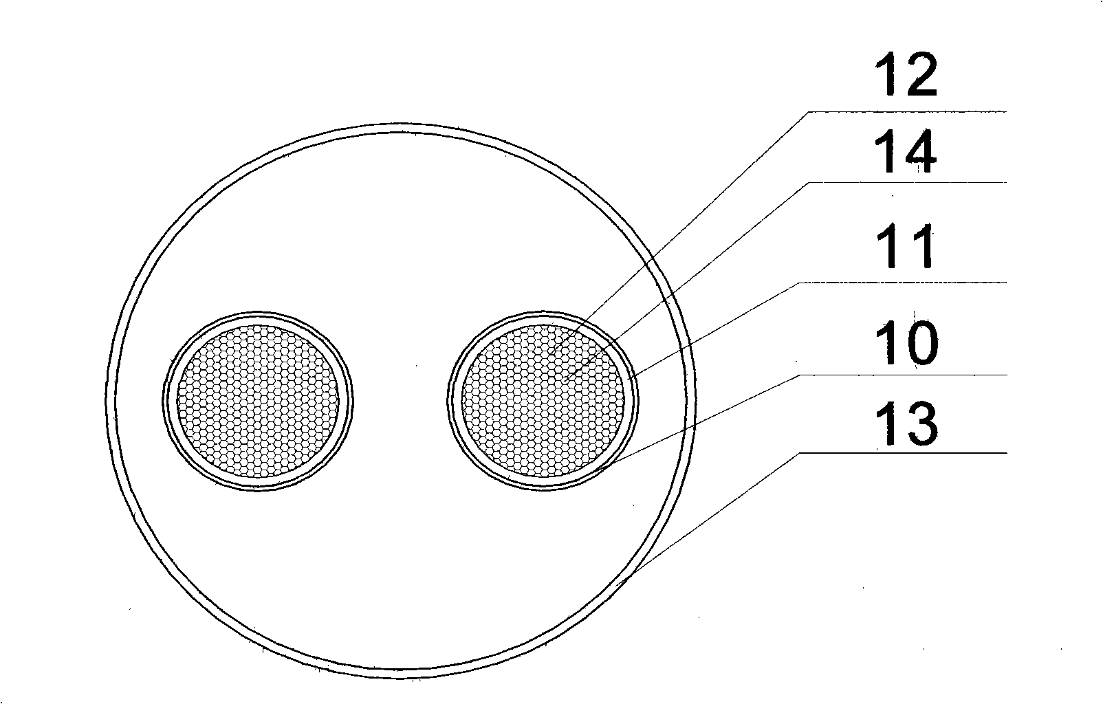 Apparatus for processing oxidative pollutant in drinking water