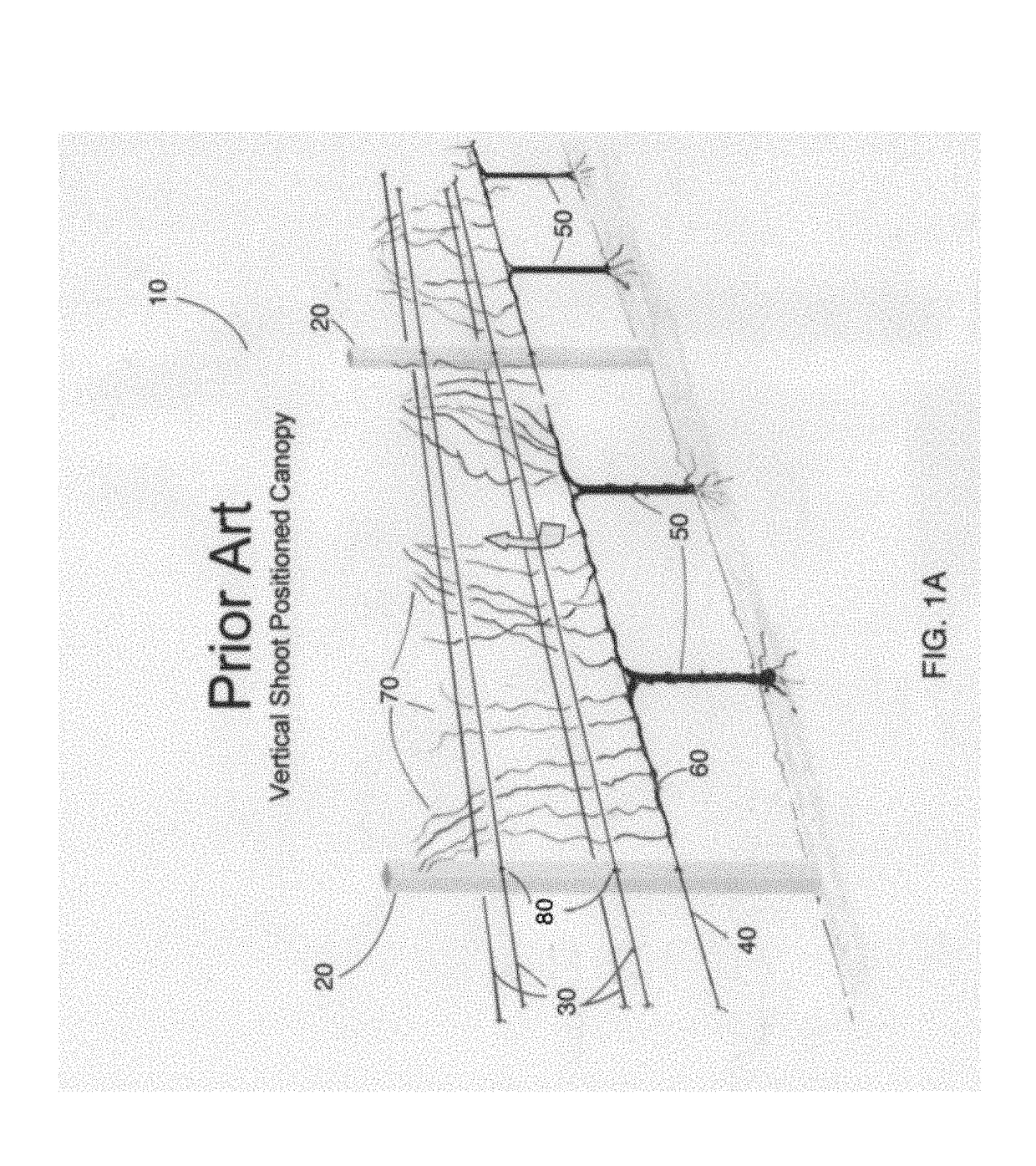 Grid Shoot Positioning System for Grape Vines