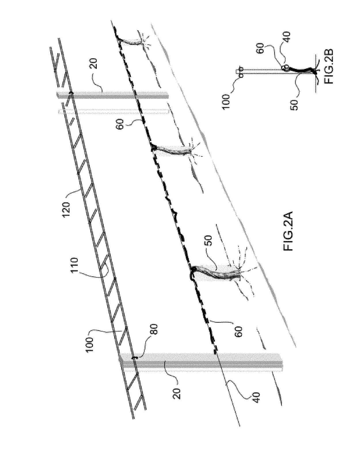 Grid Shoot Positioning System for Grape Vines