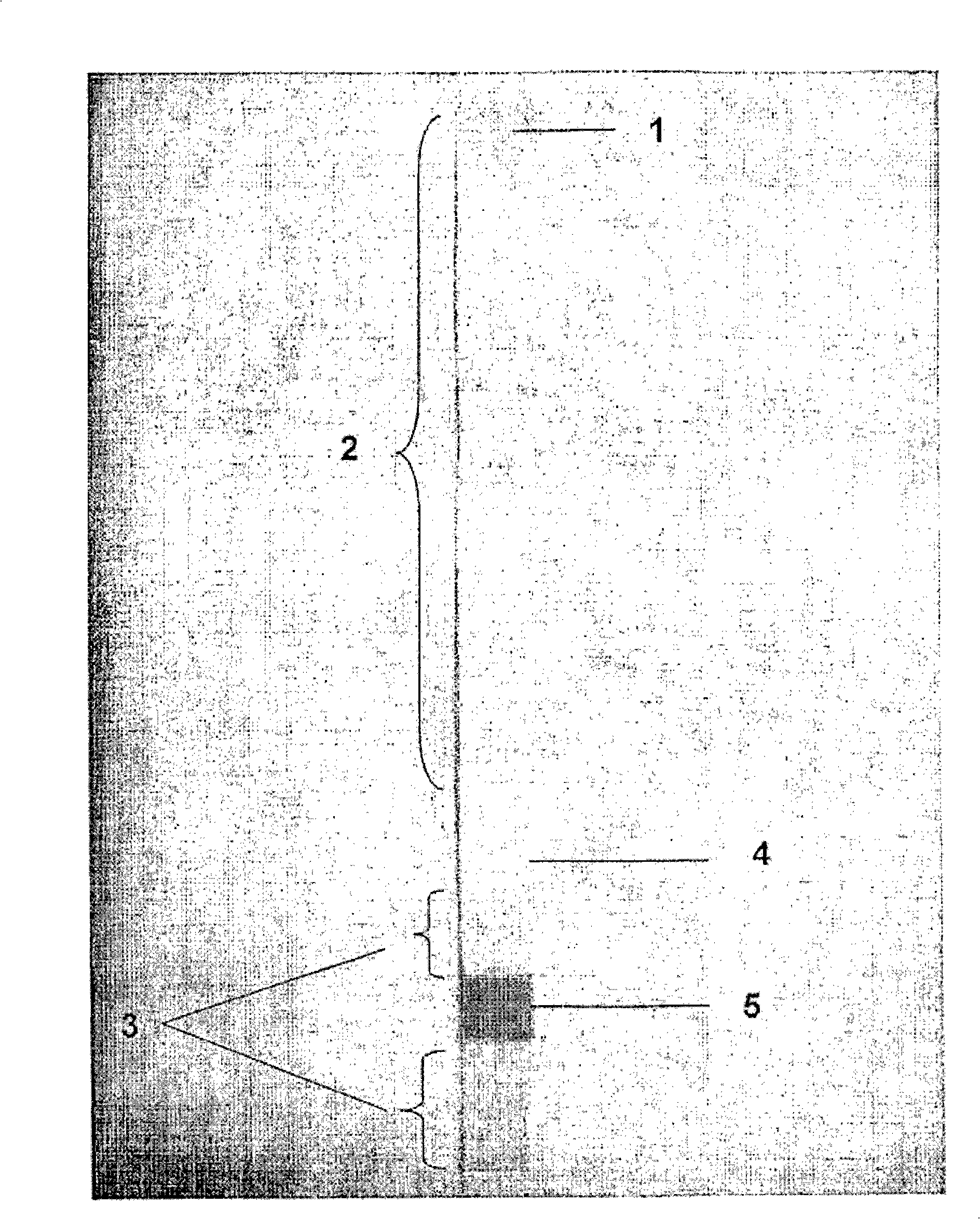 Agglutination assay