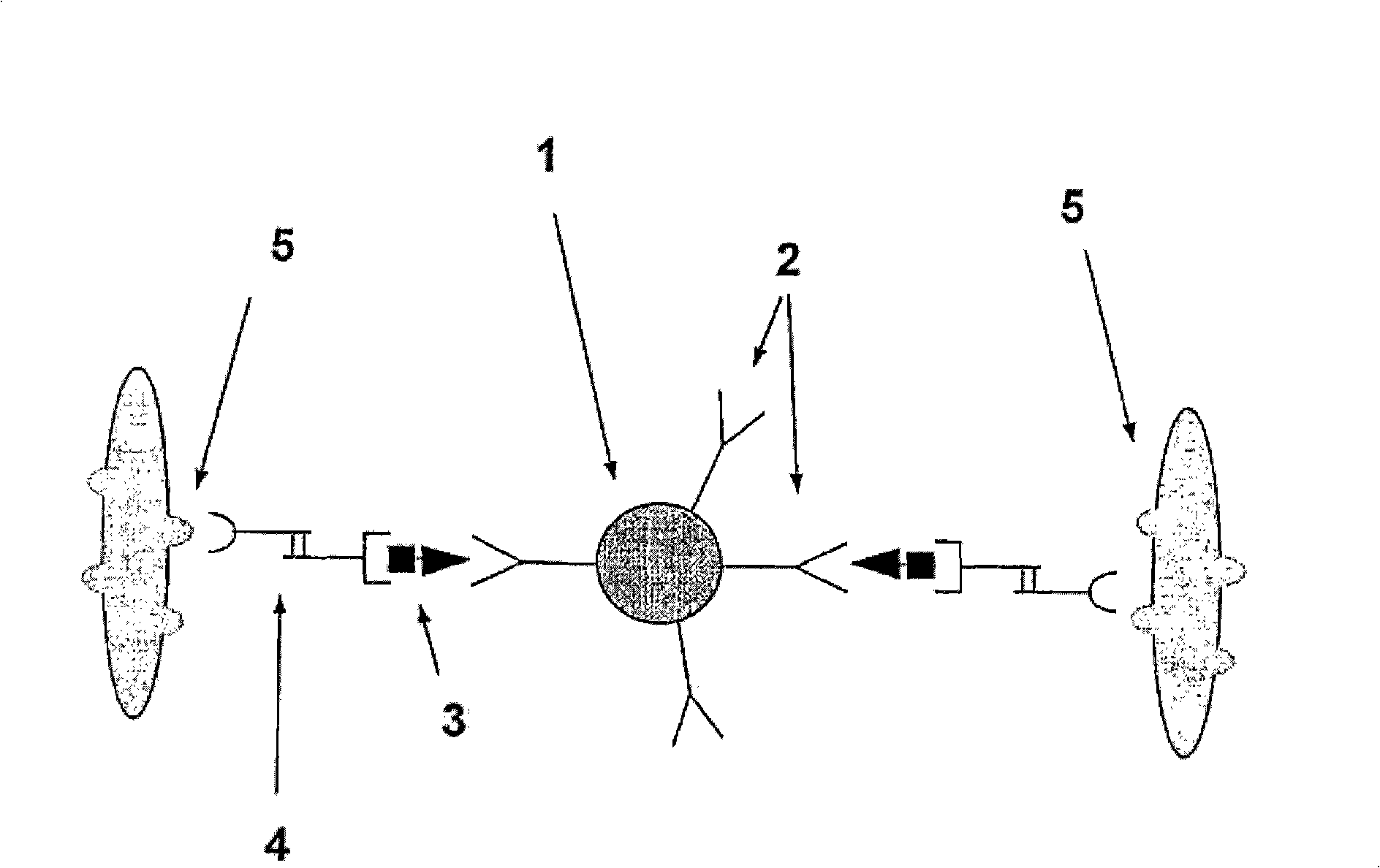 Agglutination assay