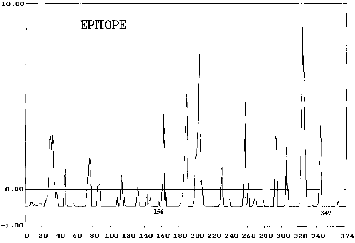 Polypeptide composition and application thereof in detecting tuberculosis antibody