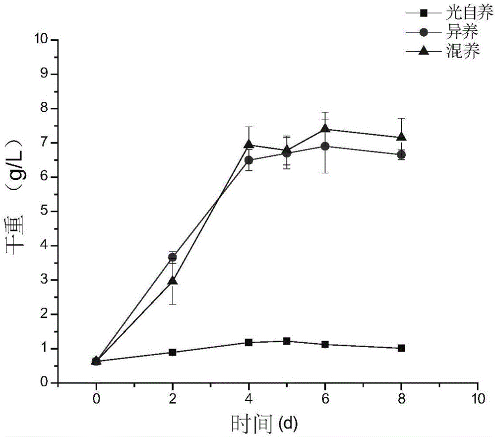 Method for culturing red algae with high-yield phycocyanin