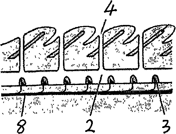 Encapsulation structure of micro-nano bionic vector water sound sensor