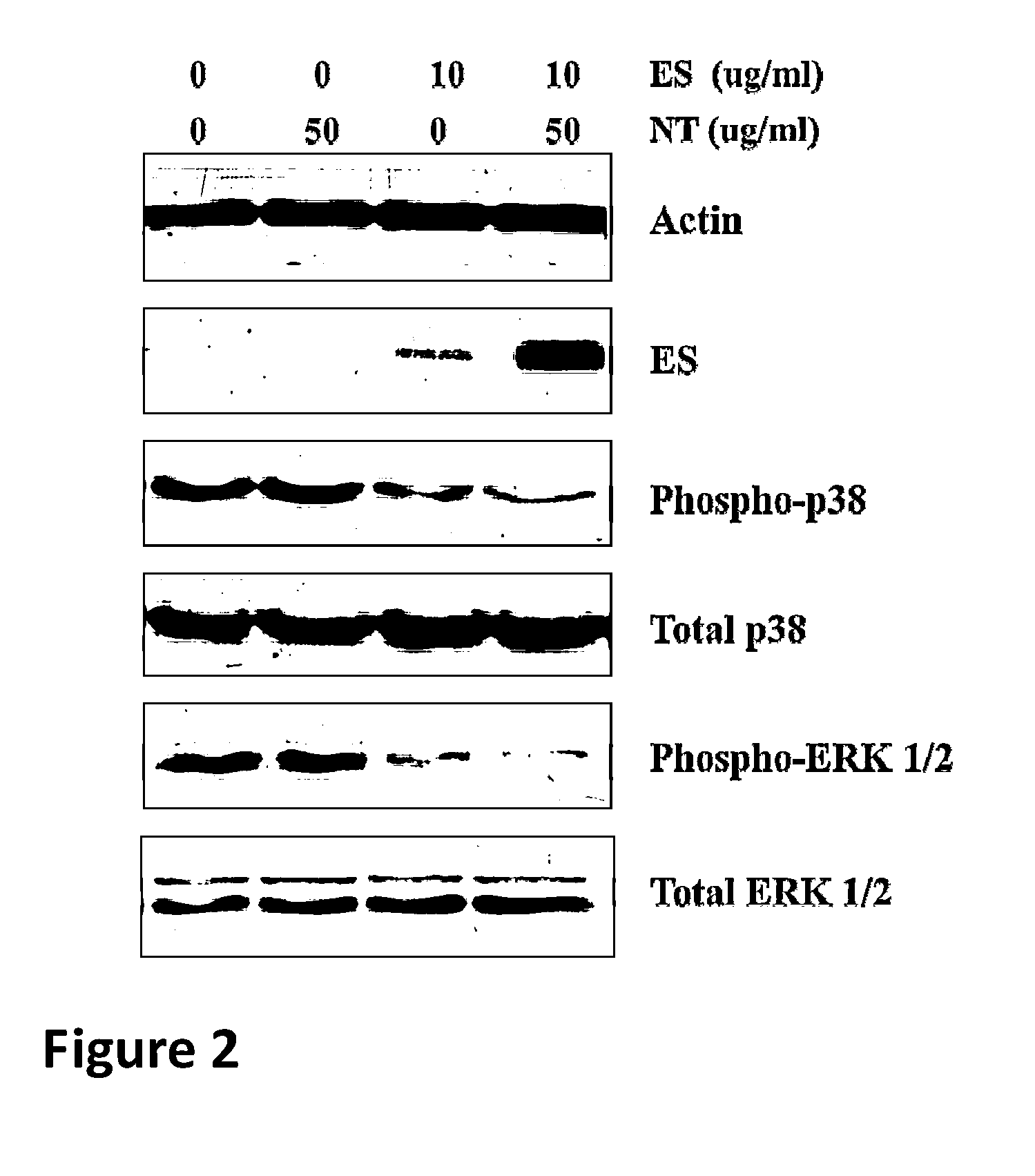 Methods and compositions for enhancing the uptake of therapeutic agents by target cells