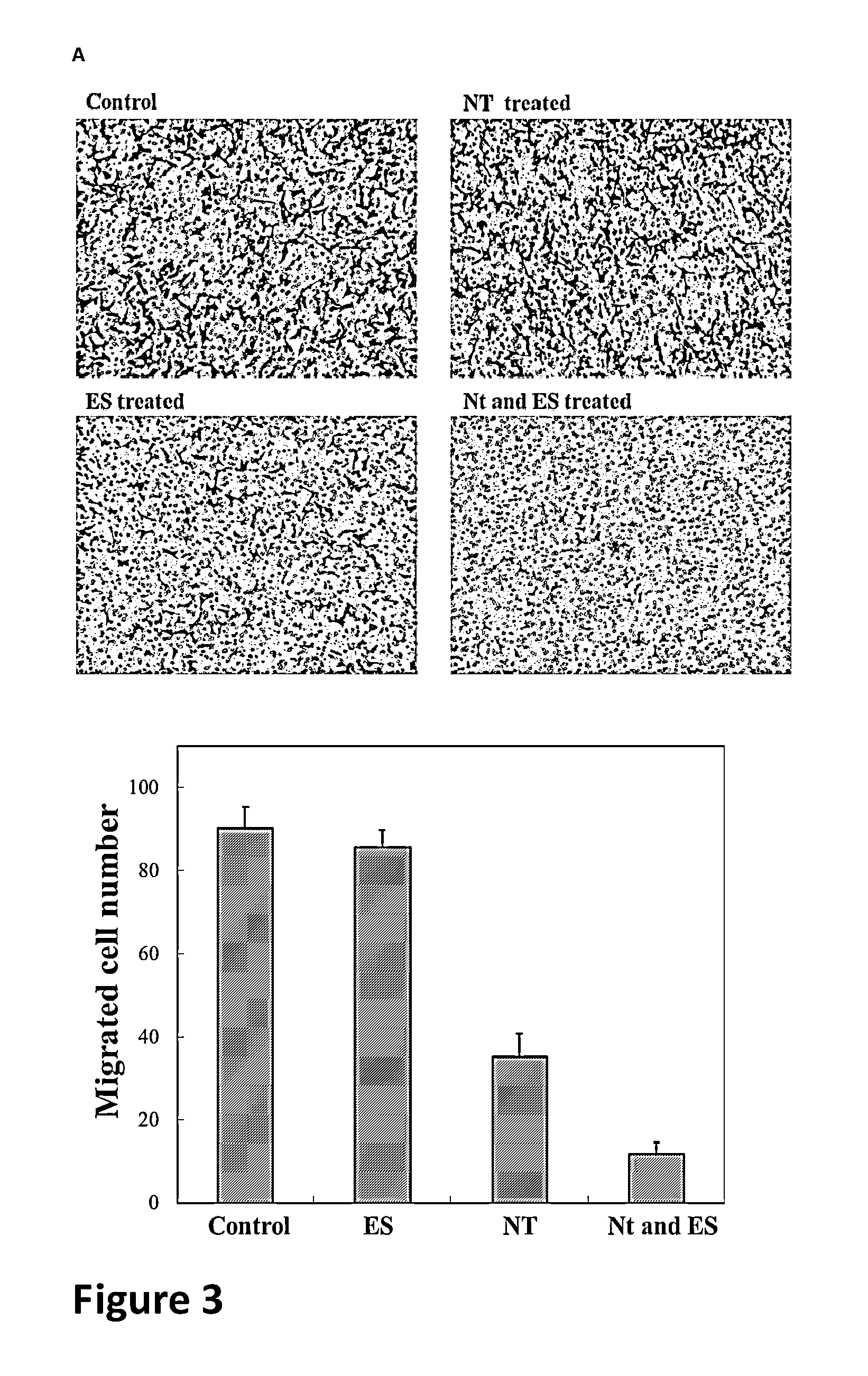 Methods and compositions for enhancing the uptake of therapeutic agents by target cells