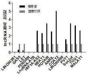 LncRNA combination for detecting prognosis condition of stomach cancer and kit containing combination