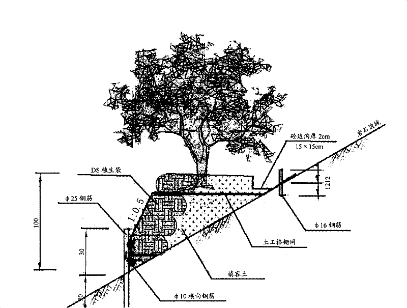 Rock slope-surface ecology treatment method