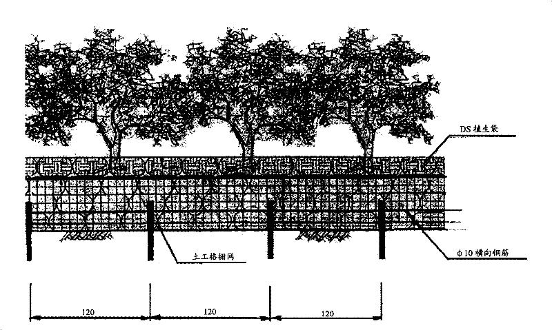 Rock slope-surface ecology treatment method