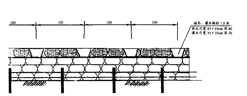 Rock slope-surface ecology treatment method