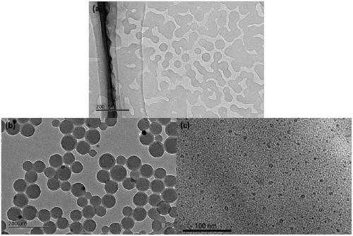 Polymethyl methacrylate-sodium maleic acid fatty alcohol ester-aluminum oxide nanocomposite material and preparation method thereof