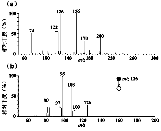 Mass spectrometry imaging method capable of rapidly identifying of handwriting authenticity